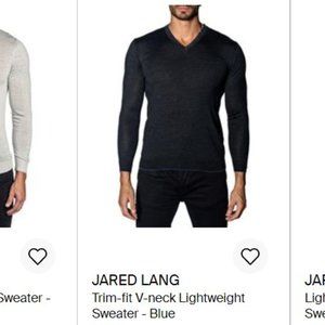 Jared Lang Men's V-Neck Sweater Trim Light Fit